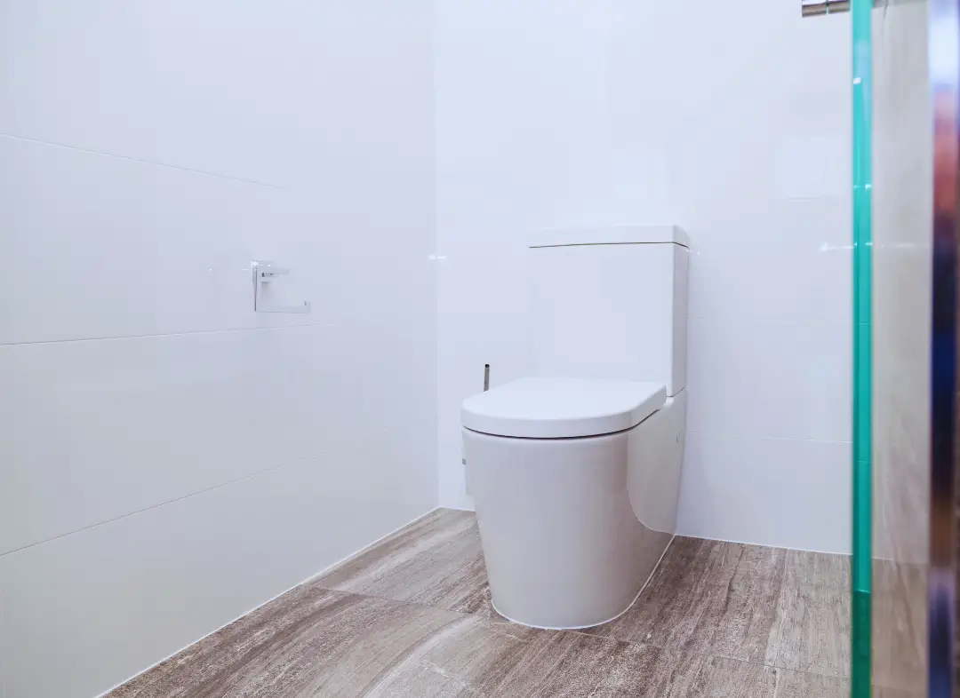 Remplacement de wc Saint-Étienne-de-Montluc