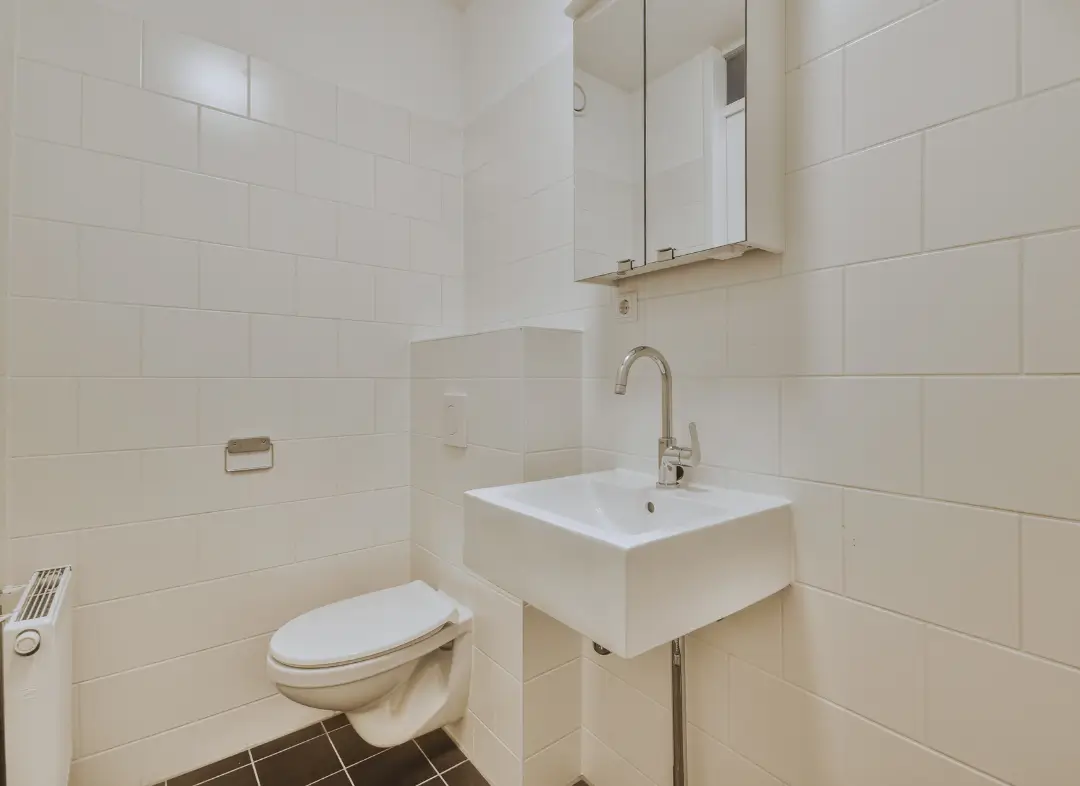 Pose WC Suspendu Saint-Étienne-de-Montluc